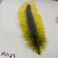 Legendary Feathers