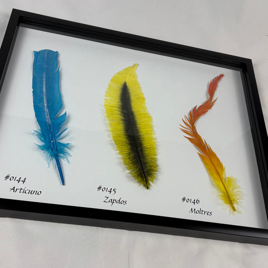 Legendary Feathers