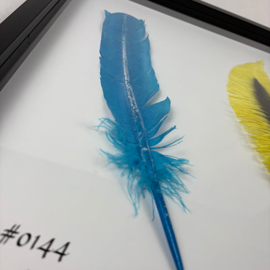 Legendary Feathers